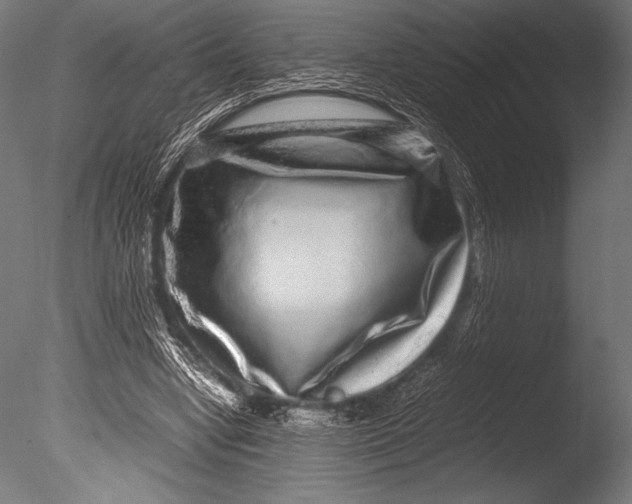 X0000085050442200703261142