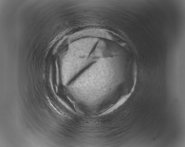 X0000085050443200703261142