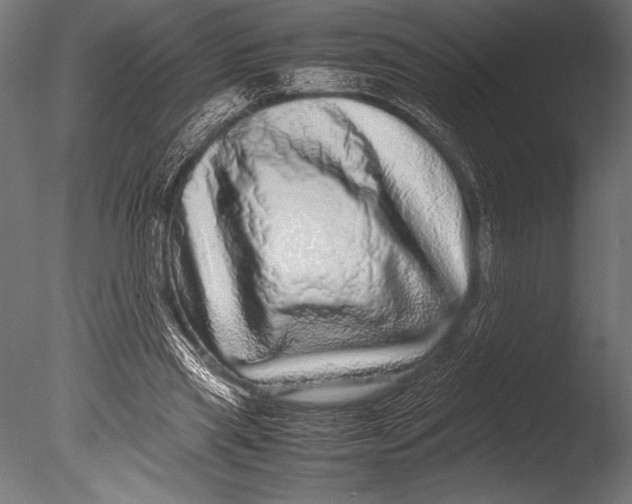 X0000085050445200703261142
