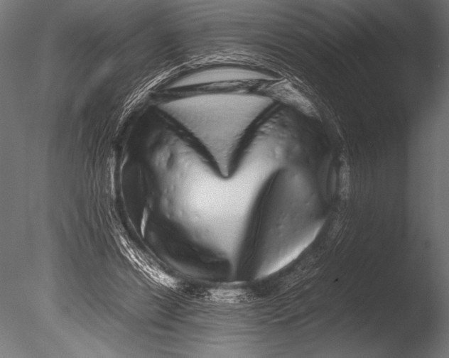 X0000085050446200703261142