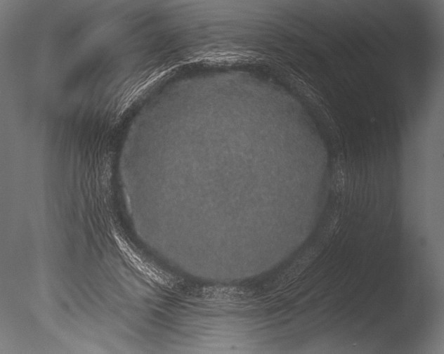 X0000085050448200703261142