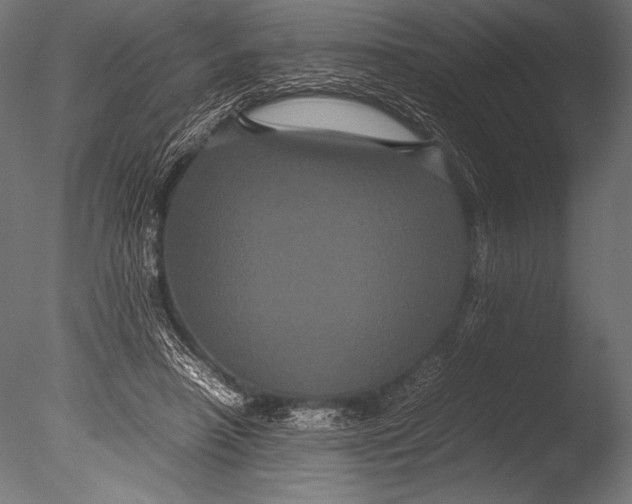 X0000085050450200703261142