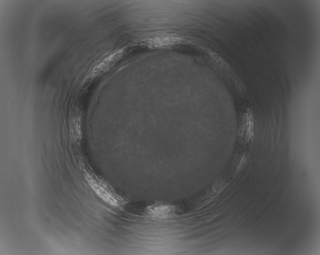 X0000085050452200703261142