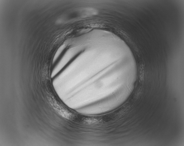 X0000085050453200703261142
