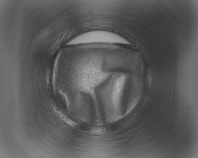 X0000085050458200703261142