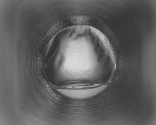 X0000085050461200703261142