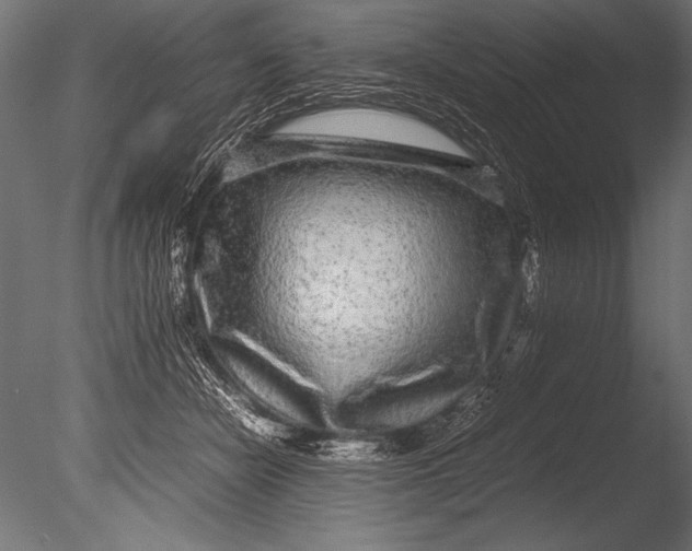 X0000085050462200703261142