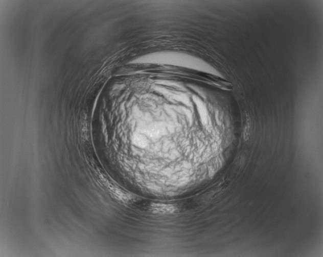 X0000085050469200703261142