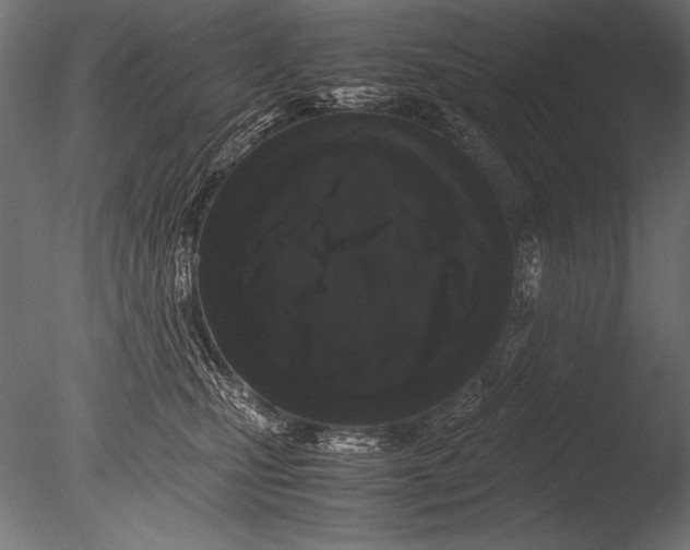 X0000085050471200703261142