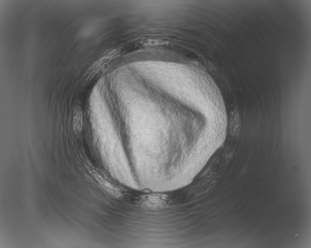 X0000085050474200703261142