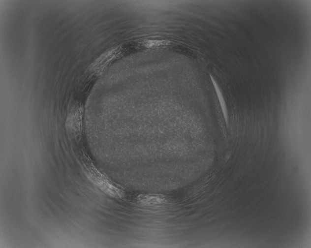 X0000085050475200703261142