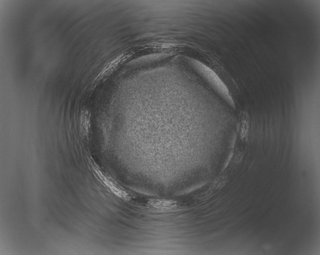 X0000085050476200703261142