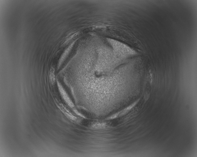 X0000085050479200703261143