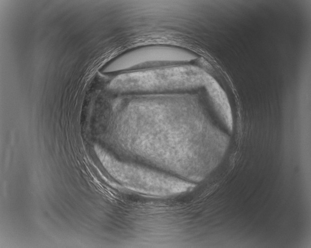 X0000085050481200703261142