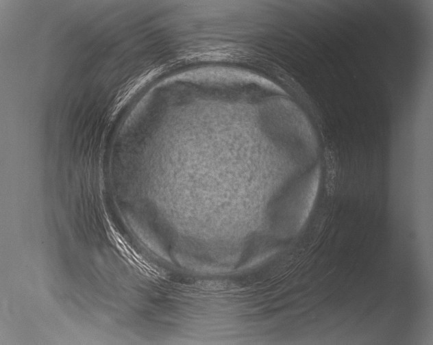 X0000085050482200703261142