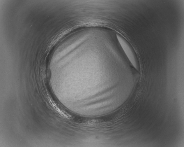 X0000085050485200703261142