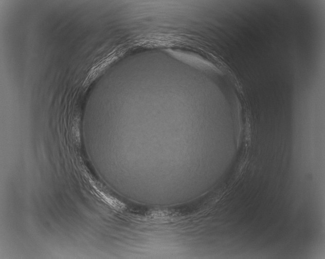 X0000085050489200703261142