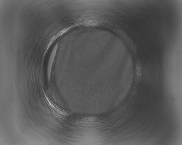 X0000085050492200703261142