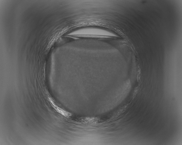 X0000085050493200703261141