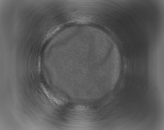 X0000085050494200703261141