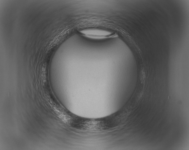 X0000085050497200703261141