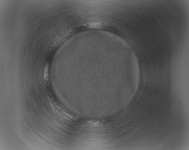 X0000085050502200703261141