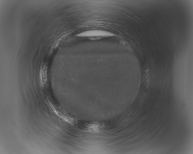 X0000085050504200703261141