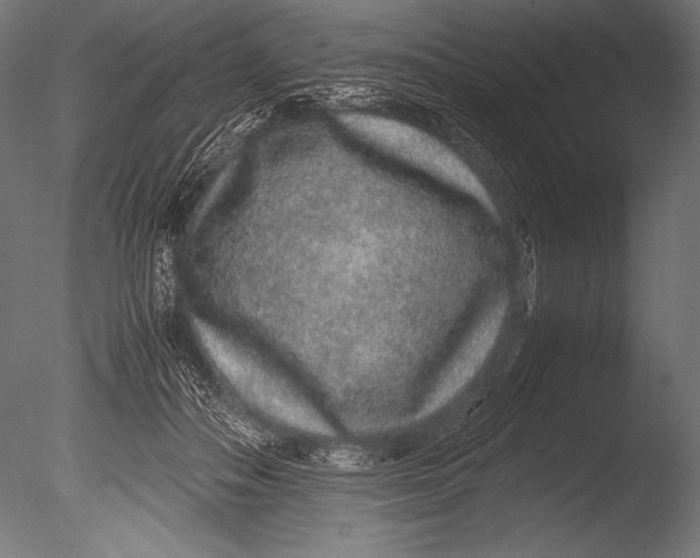 X0000085050506200703261141