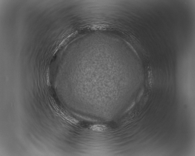 X0000085050508200703261141
