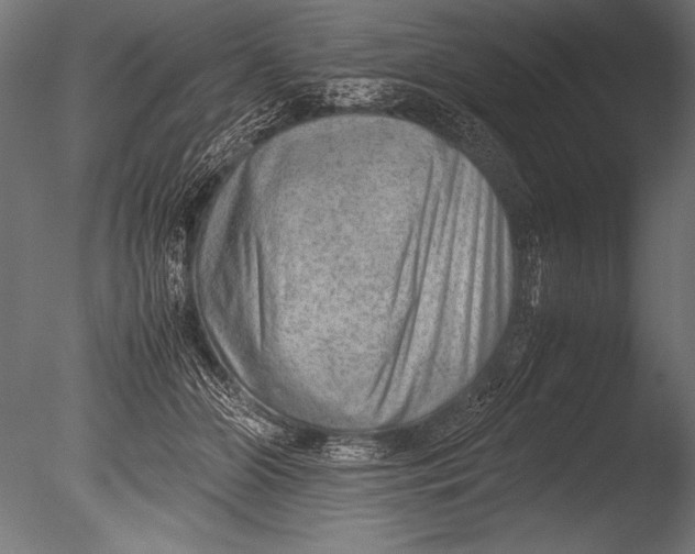X0000085050510200703261141