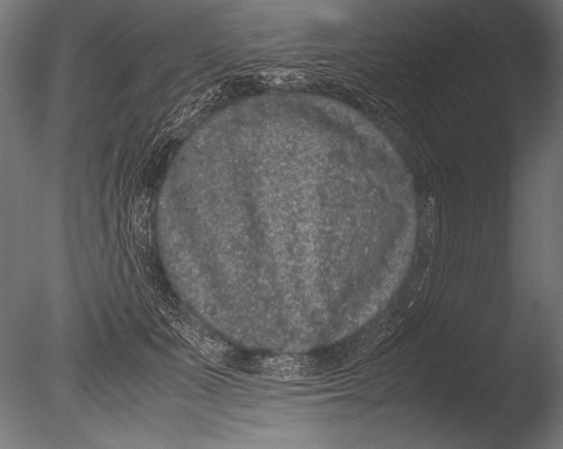 X0000085050511200703261141