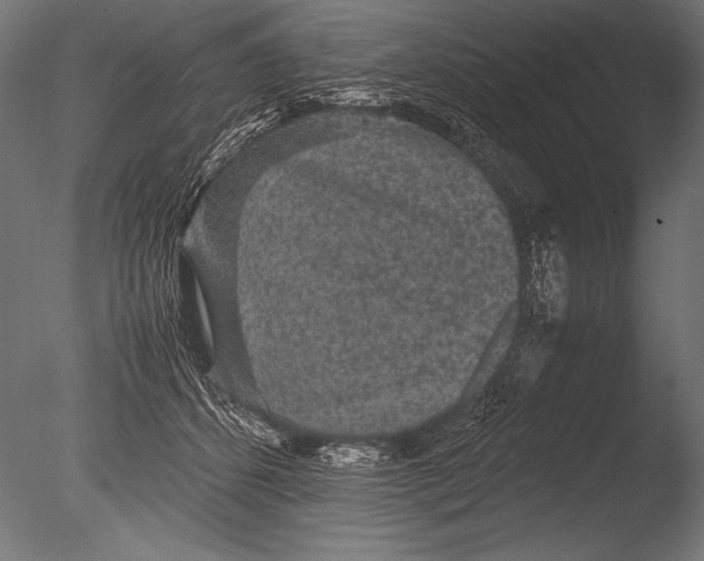 X0000085050512200703261141