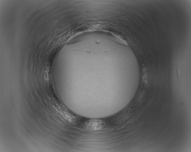 X0000085050514200703261141
