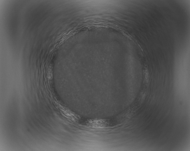 X0000085050517200703261141