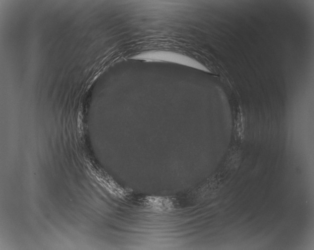 X0000085050520200703261141