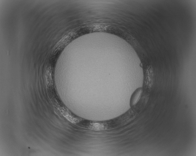 X0000085050522200703261141