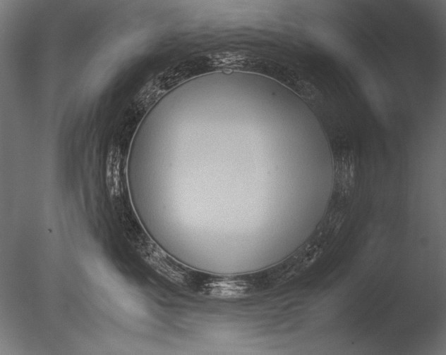 X0000085050525200703261141