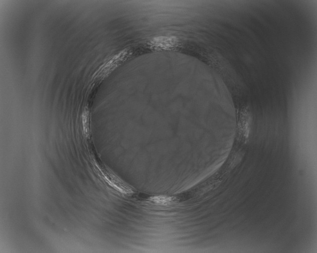 X0000085050526200703261141