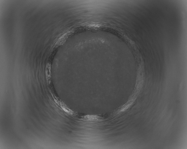 X0000085050528200703261141