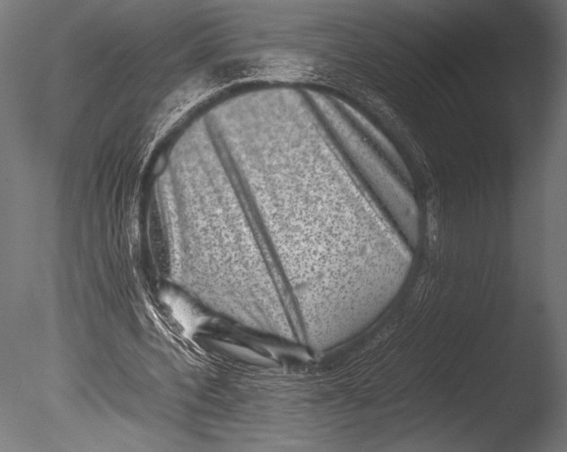 X0000085050532200703261140