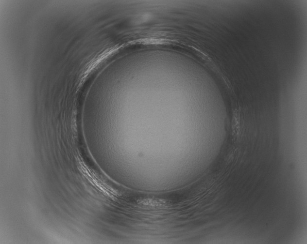 X0000085050535200703261140