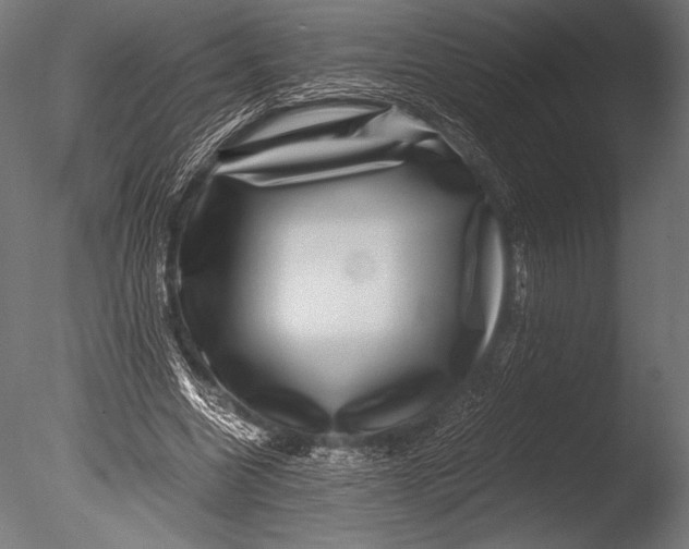 X0000085050538200703261140