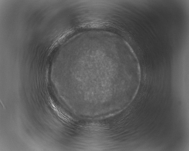 X0000085050542200703261140