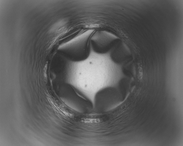 X0000085050543200703261140