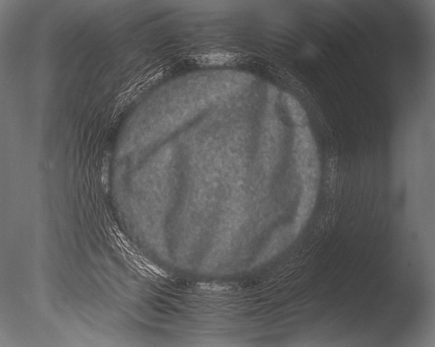 X0000085050545200703261140