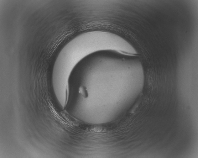 X0000085050546200703261140