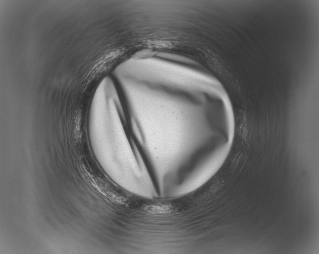 X0000085050548200703261140