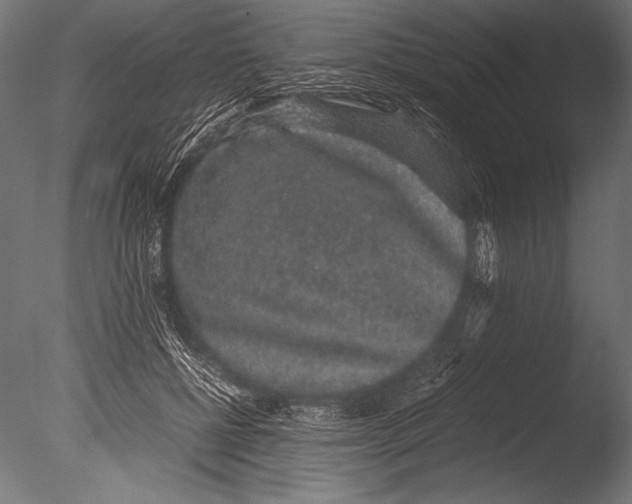 X0000085050552200703261140