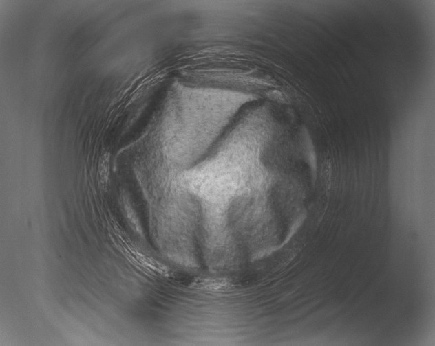X0000085050554200703261140