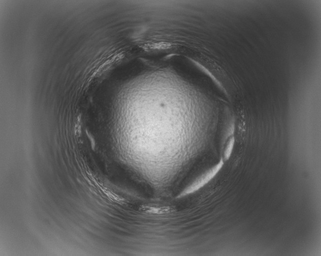 X0000085050555200703261140